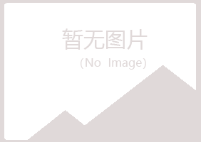 鹤峰县含蕾因特网有限公司